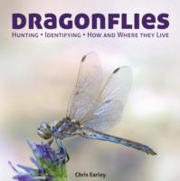 Dragonflies: Hunting - Identifying - How and Where They Live