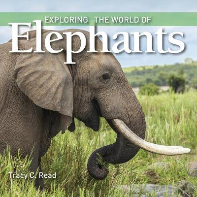 EXPLORING THE WORLD OF ELEPHANTS