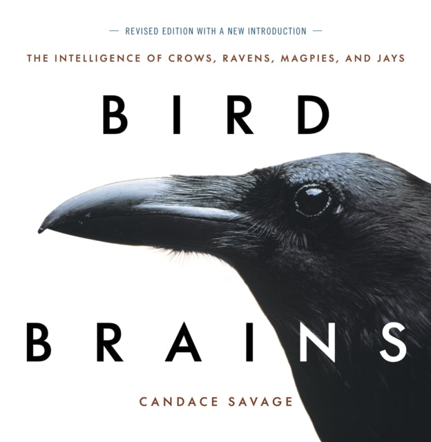 Bird Brains - The Intelligence of Crows, Ravens, Magpies, and Jays
