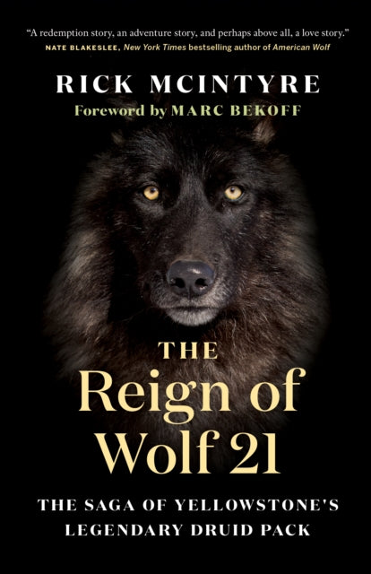Reign of Wolf 21