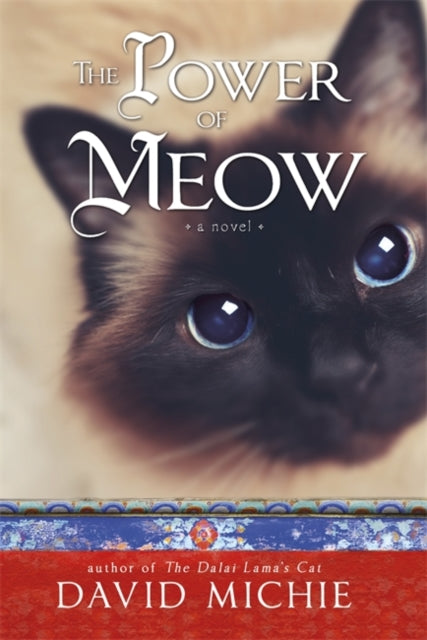 Power of Meow