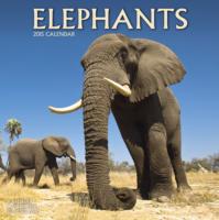 Elephants 2015