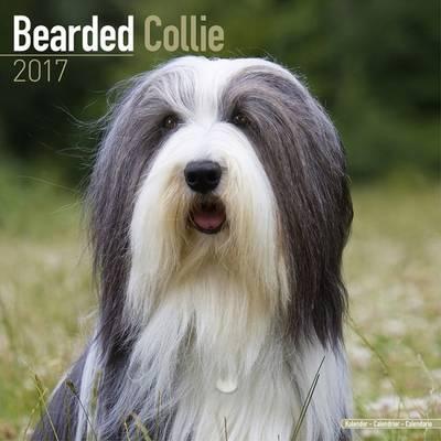 BEARDED COLLIE CALENDAR 2017