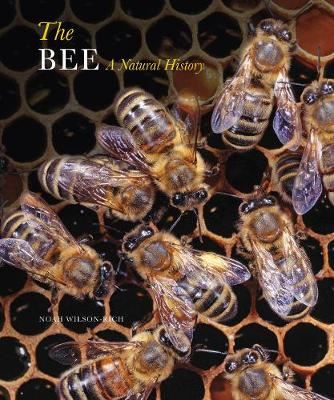 The Bee - A Natural History