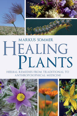 Healing Plants: Herbal Remedies from Traditional to Anthroposophical Medicine