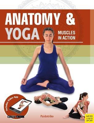 Anatomy & Yoga - Muscles in Action