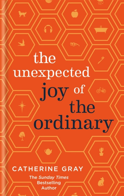 Unexpected Joy of the Ordinary