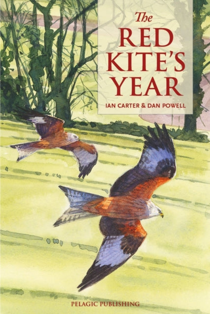 Red Kite’s Year