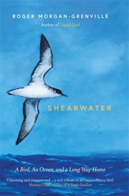 Shearwater