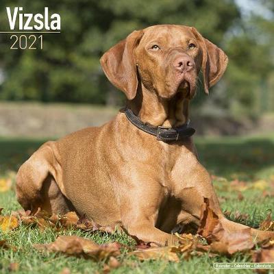 Vizsla 2021 Wall Calendar