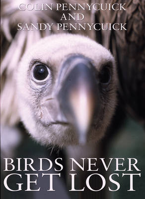 BIRDS NEVER GET LOST