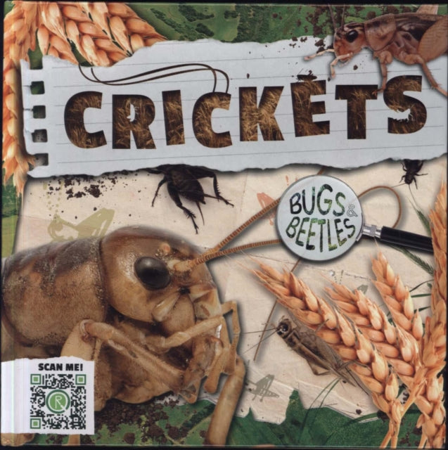 Crickets