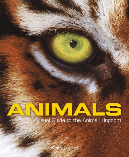 ANIMALS: A VISUAL GUIDE TO THE ANIMAL KINGDOM