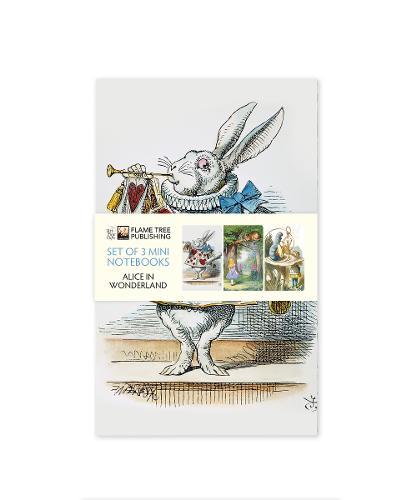 Alice's Adventures in Wonderland Set of 3 Mini Notebooks