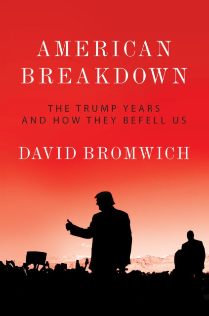 AMERICAN BREAKDOWN : THE TRUMP YEARS AND HOW THEY