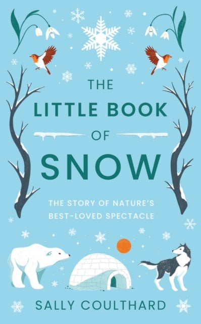 Little Book of Snow