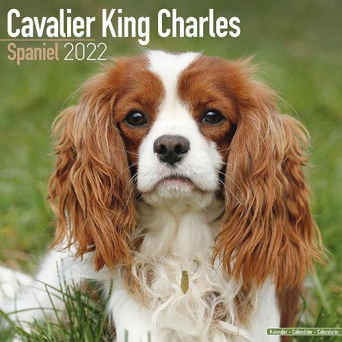 CAVALIER KING CHARLES SPANIEL 2022 WALL CALENDAR