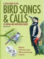 BIRD SONGS AND CALLS