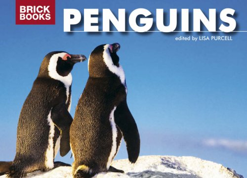 PENGUINS