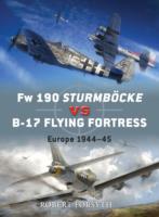 FW 190 Sturmbock Vs B-17: Europe 1944-45