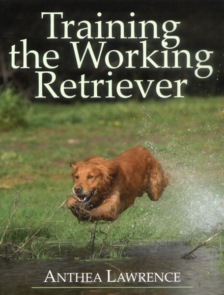 TRAINING THE WORKING RETRIEVER