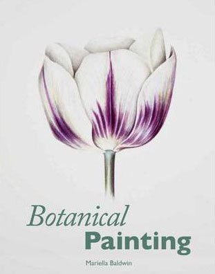 BOTANICAL PAINTING