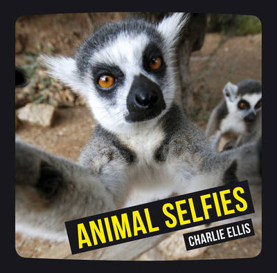 ANIMAL SELFIES