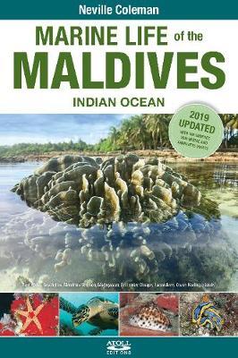 MARINE LIFE OF THE MALDIVES - INDIAN OCEAN