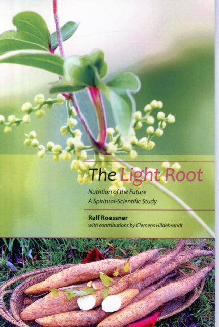 Light Root