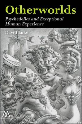 Otherworlds: Psychedelics and Exceptional Human Experience