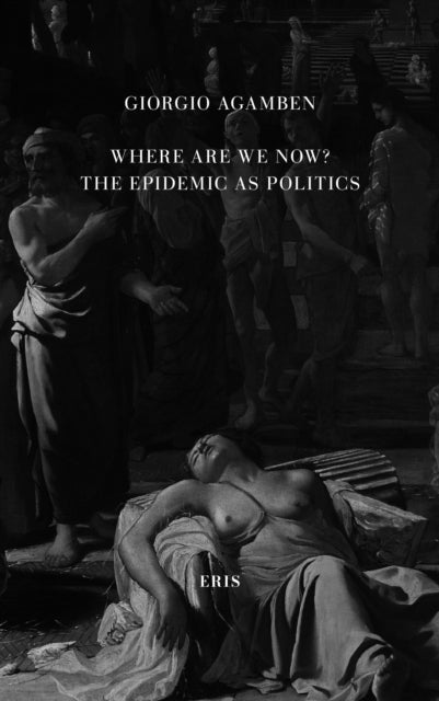 Where Are We Now? - The Epidemic as Politics