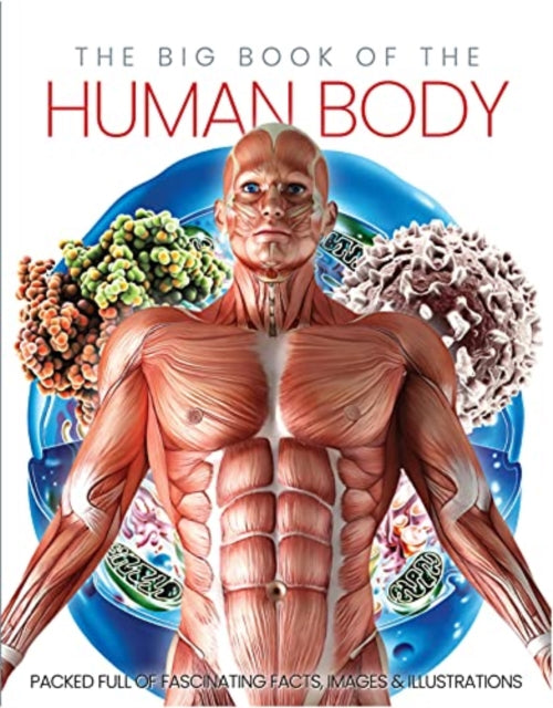 Big Book of the Human body