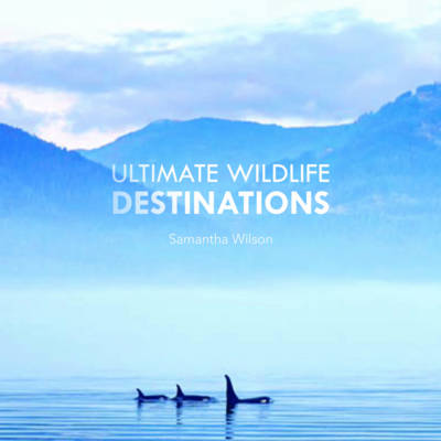 ULTIMATE WILDLIFE DESTINATIONS
