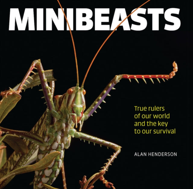 Minibeasts - True rulers of our world and the key to our survival