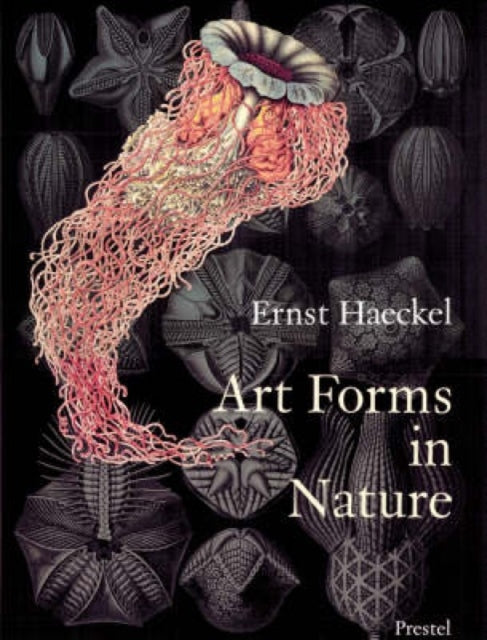 Art Forms in Nature: Prints of Ernst Haekel