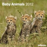 2012 Baby Animals Grid Calendar