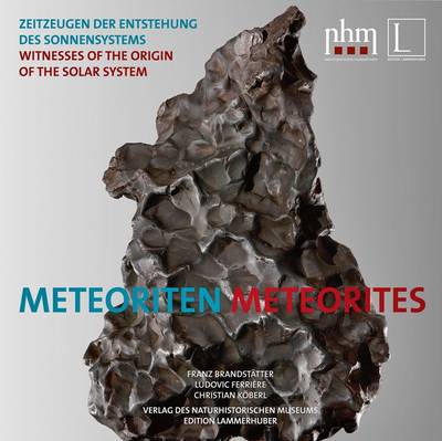 Meteorites: Witnesses of the Origin of the Solar System