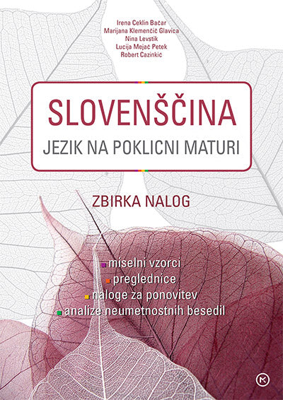 SLOVENŠČINA - JEZIK NA POKLICNI MATURI. NALOGE