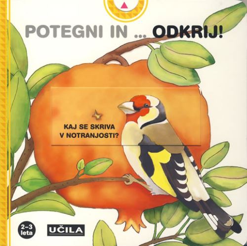 Potegni in odkrij