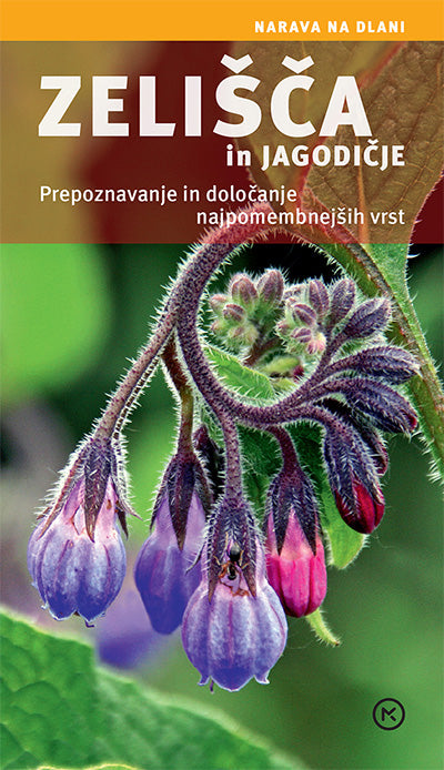 Zelišča in jagodičje - Prepoznavanje in določanje najpomembnejših vrst