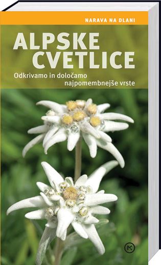 ALPSKE CVETLICE