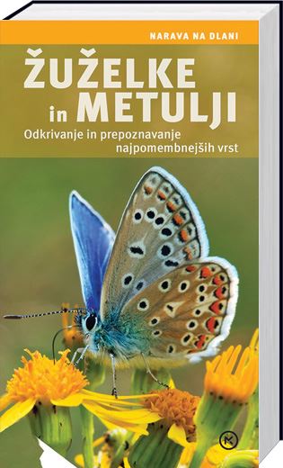 Žuželke in metulji