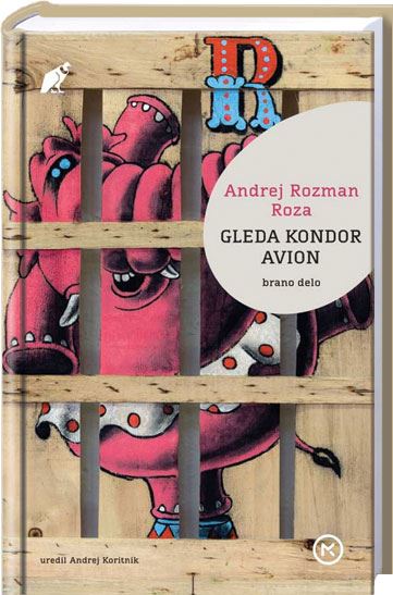 Gleda kondor avion