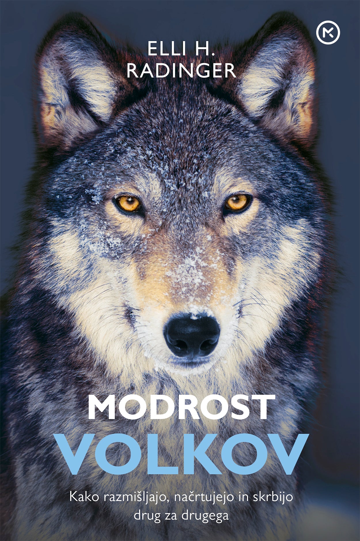 Modrost volkov