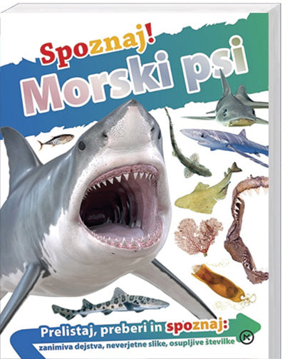 Spoznaj!: Morski psi