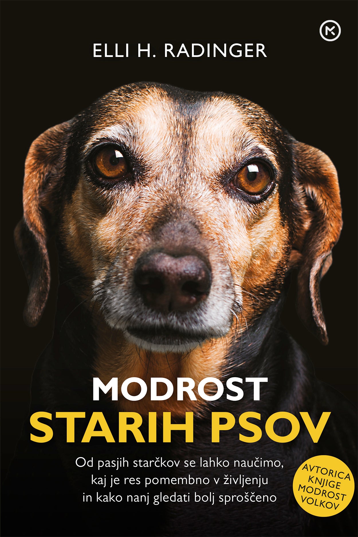 Modrost starih psov