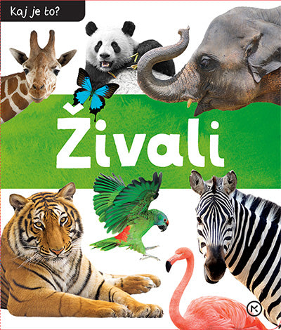 Kaj je to?: Živali