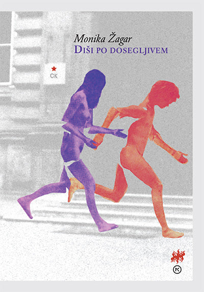DIŠI PO DOSEGLJIVEM (SUBVENCIJA)