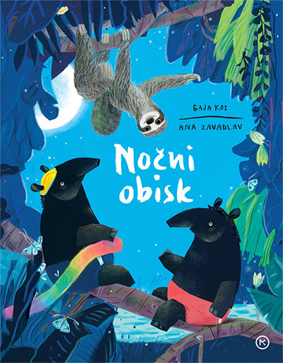 Nočni obisk