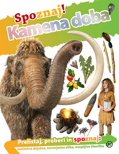 SPOZNAJ! KAMENA DOBA